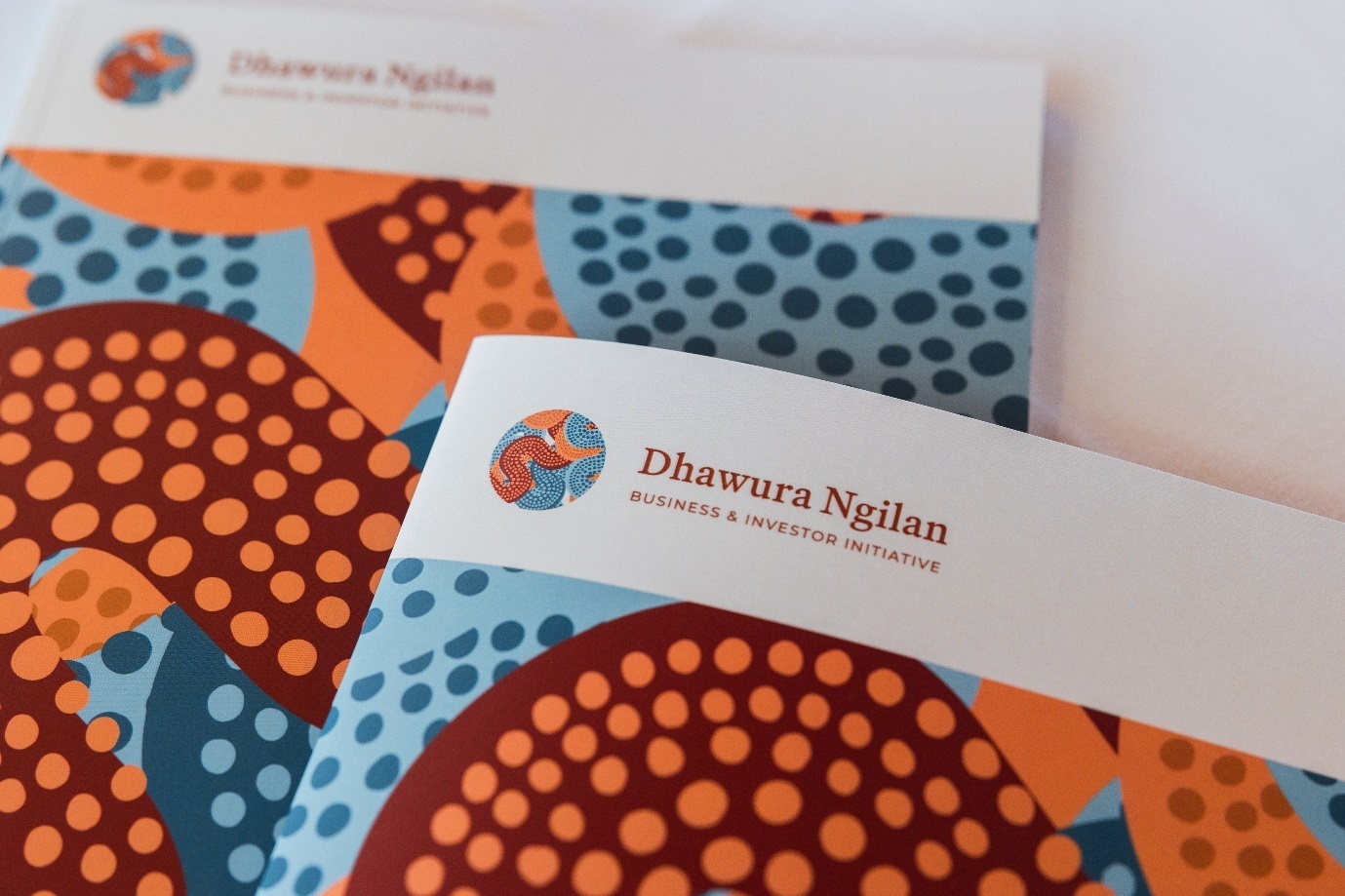 Featured image for “DNBII Guides”