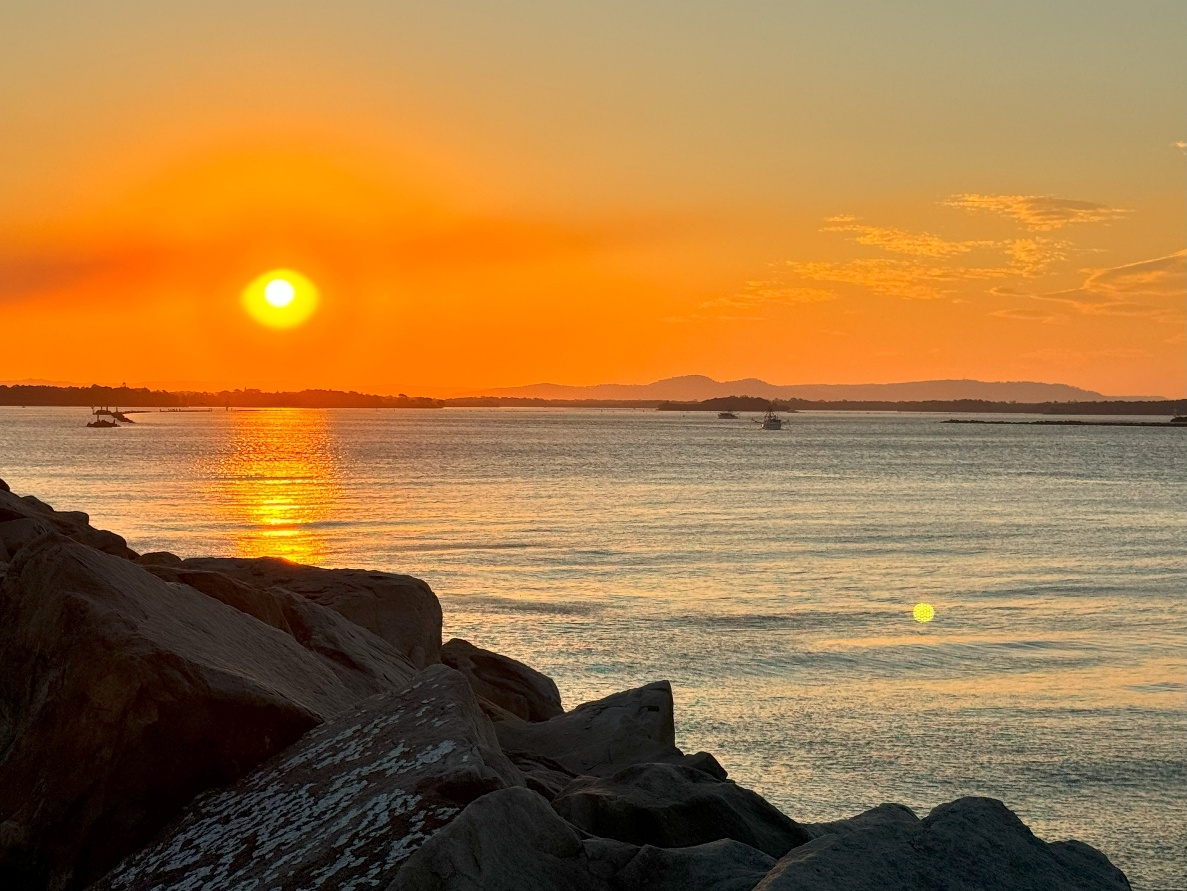 Featured image for “PBC Director Training, July 2025”